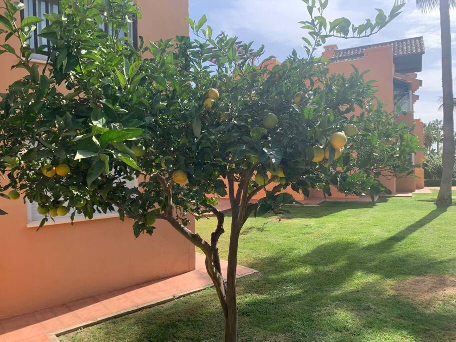 Schoenes Penthouse Mit Meerblick Pura Vida Bahia de Casares المظهر الخارجي الصورة
